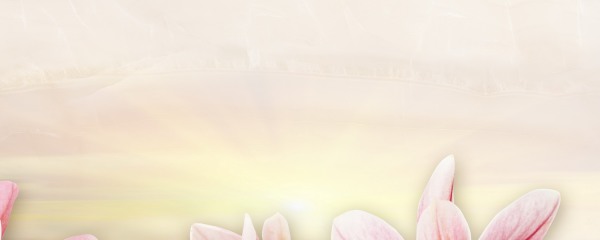 картинка ВК Панно Мираж 2 серо-розовый (плитки керам.глаз.для стен фризовые 200*500) 1 сорт от магазина ТНП