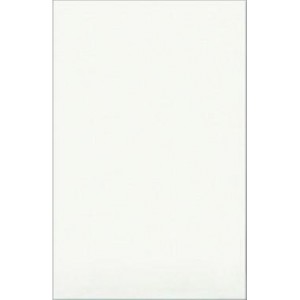 картинка Плитка БКСМ облицовочная Белая 200*300*7 мм 1 сорт от магазина ТНП