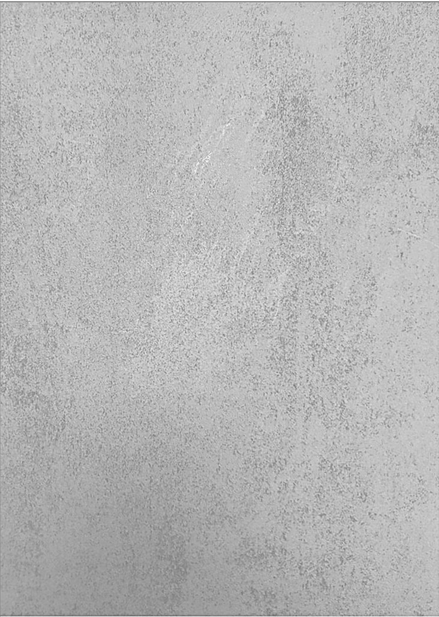 картинка Стеновая декоративная панель "Модерн" 2710*240*6 мм Бетон Серый 1 сорт от магазина ТНП