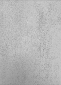 картинка Стеновая декоративная панель "Модерн" 2710*240*6 мм Бетон Серый 1 сорт (8шт) от магазина ТНП