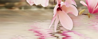картинка ВК Панно Мираж 3 серо-розовый (плитки керам.глаз.для стен фризовые 200*500) 1 сорт от магазина ТНП