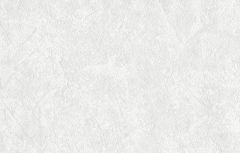 картинка Обои винил. на флиз. основе тип-2-рельеф. проф. вспен, Штукатурка, БВ08140021 - 11, СБ56, , (4) от магазина ТНП