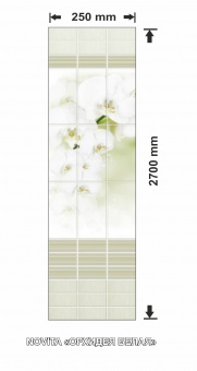 картинка Погонажные изделия из ПВХ. Novita "Орхидея Белая" 250*2700=0,675 м2 от магазина ТНП