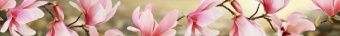 картинка ФК Мираж серо-розовый (плитки керам.глаз.для стен фризовые 500*54) 1 сорт от магазина ТНП